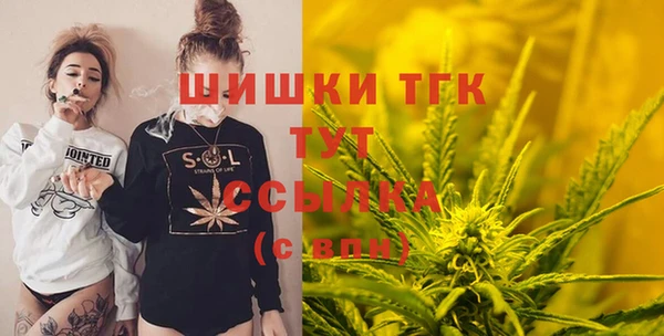 mix Гусиноозёрск