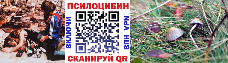 Галлюциногенные грибы GOLDEN TEACHER  как найти   Улан-Удэ 
